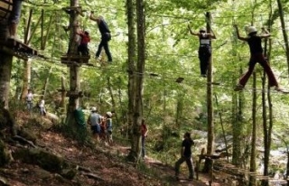 Recorrido Akrobranche con amigos